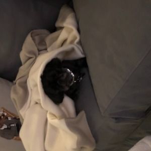 Meet your Posher, Barbra